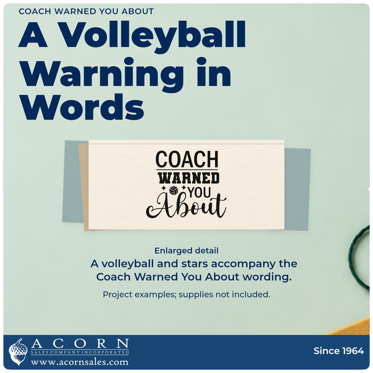 Enlarged detail of the Coach Warned You About Volleyball Pre-Inked Stamp – Slim imprint. “Coach Warned You About” is arranged with a volleyball and small stars.