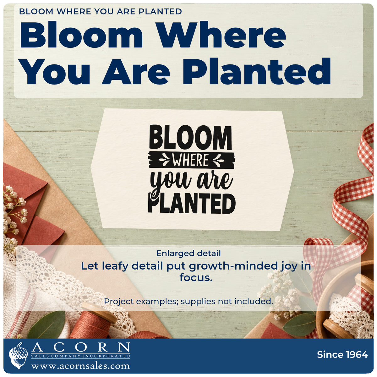 Enlarged detail of the Bloom Where You Are Planted Botanical Lettering Stamp – Premium Vintage Pro Wooden imprint. The phrase "Bloom where you are planted" includes a dark brushed banner and leafy accents.