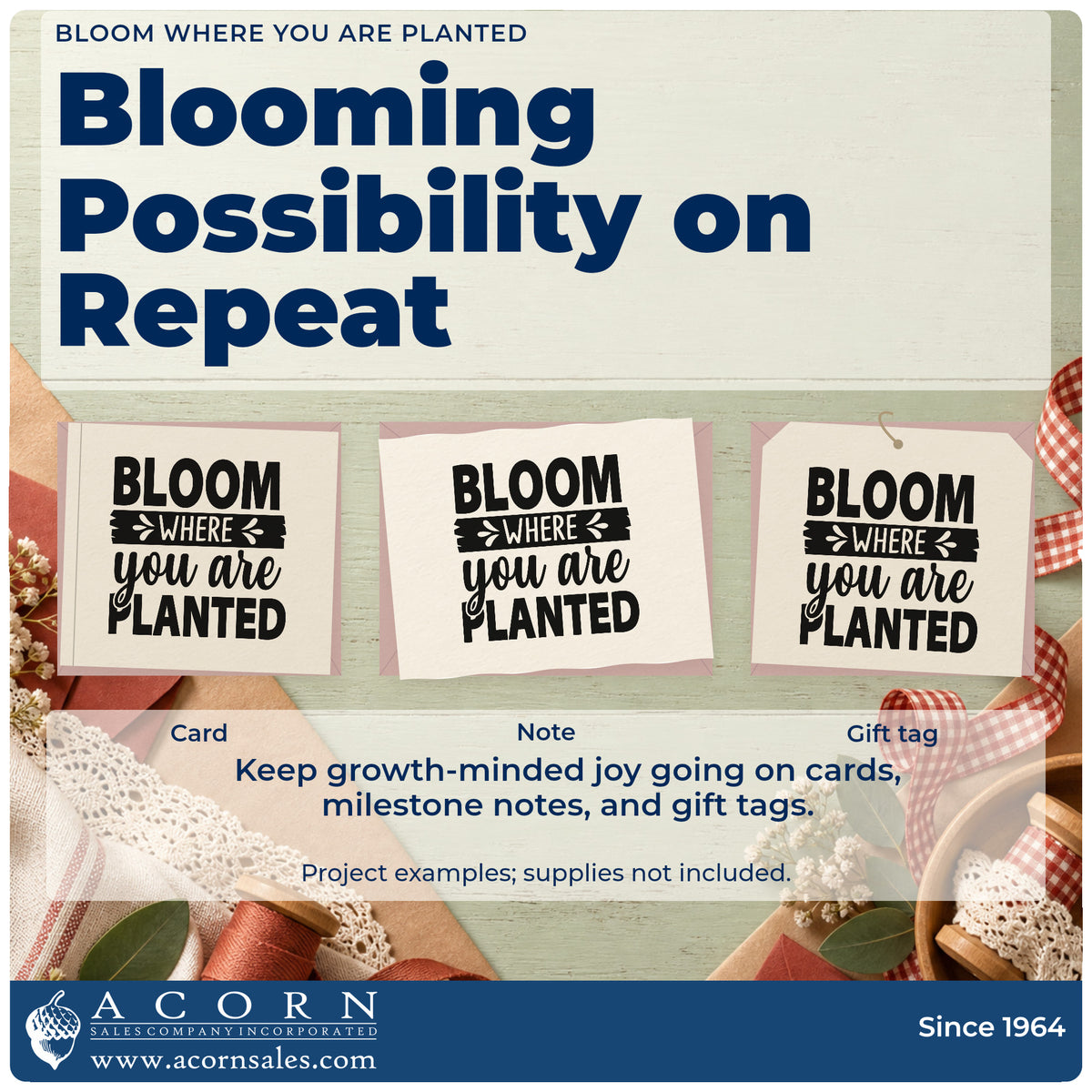 Three project examples made with the Bloom Where You Are Planted Botanical Lettering Wood-Mounted Rubber Stamp, including water week sheet.