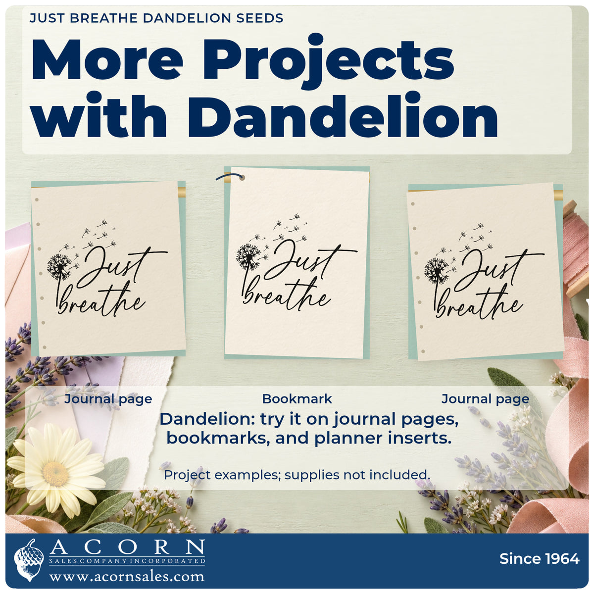 Three project examples made with the Just Breathe Dandelion Seeds Pre-Inked Stamp – PSI, including dive log sheet.