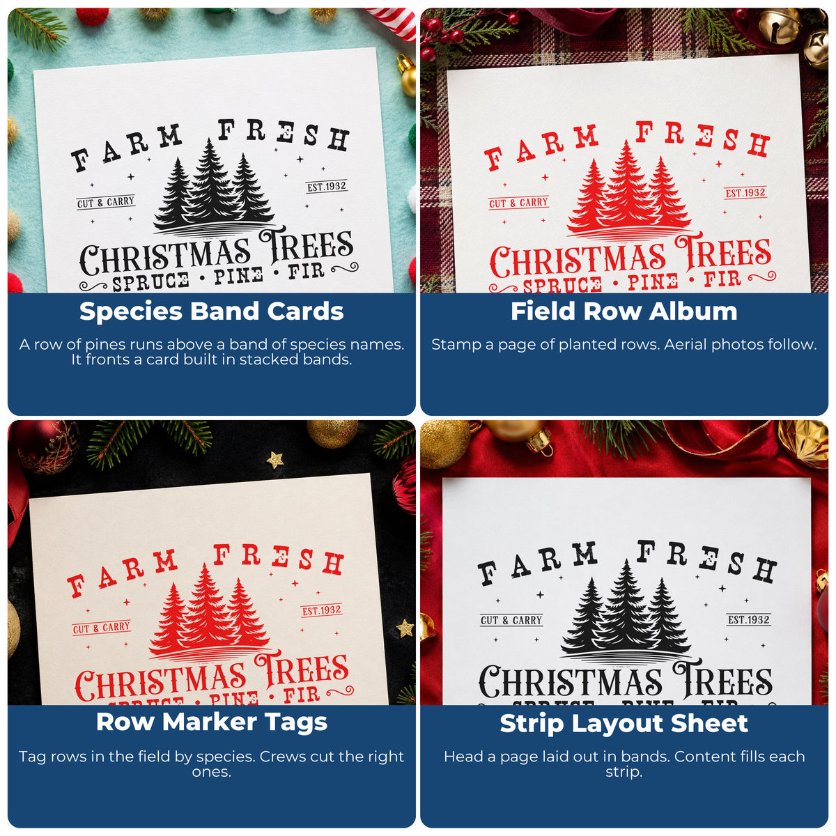 Four ways to use the Farm Fresh Spruce Pine Fir With Stars Rubber Stamp – Wood Handle: species band cards, field row album, row marker tags and strip layout sheet.