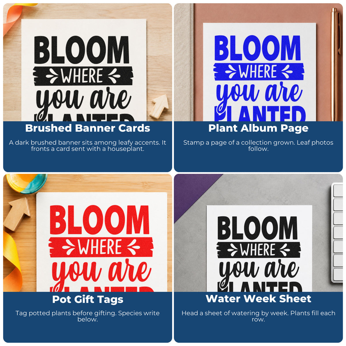 Four ways to use the Bloom Where You Are Planted Botanical Lettering Pre-Inked Stamp – Slim: brushed banner cards, plant album page, pot gift tags and water week sheet.