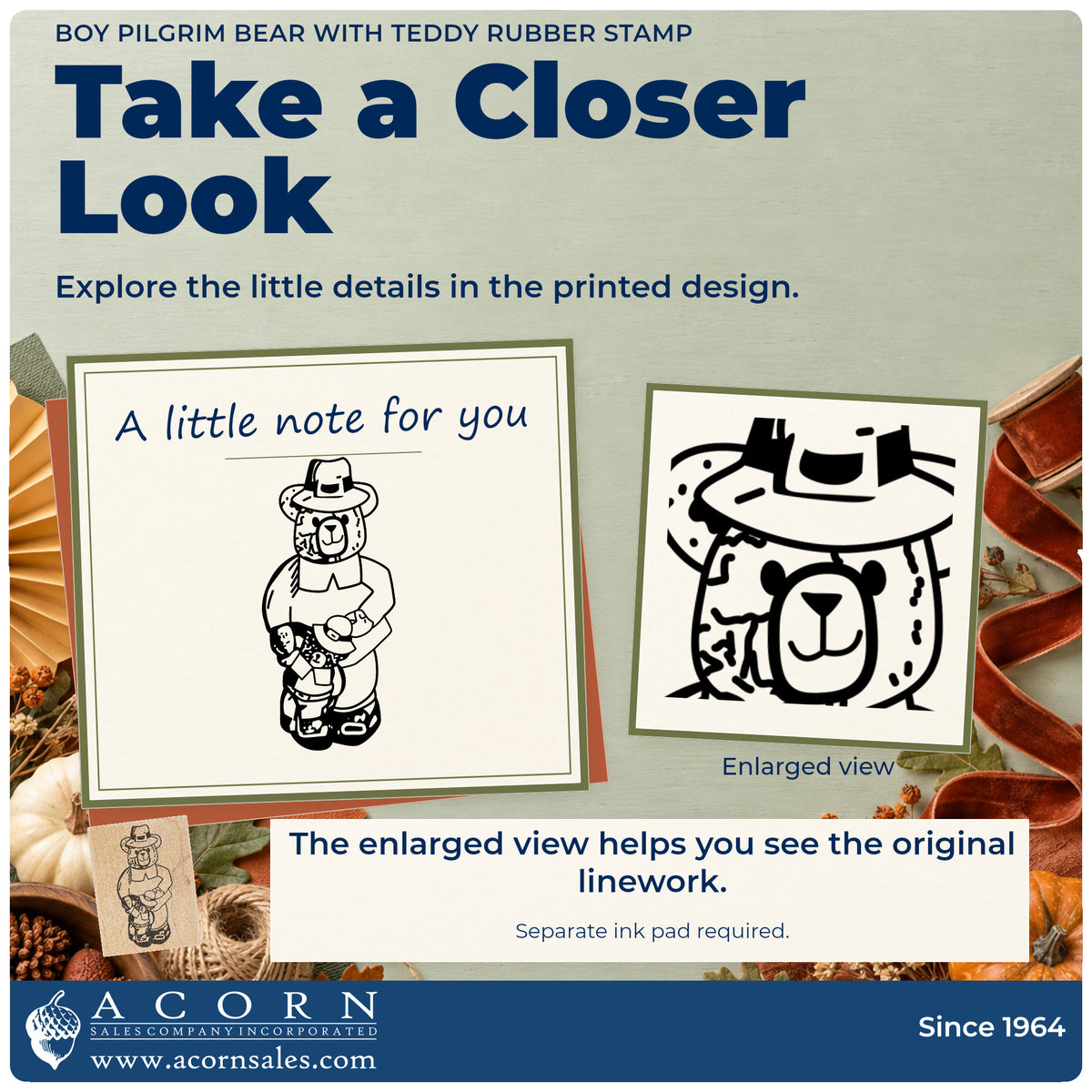 Boy Pilgrim Bear with Teddy Rubber Stamp detail infographic with an enlarged view of the printed design.