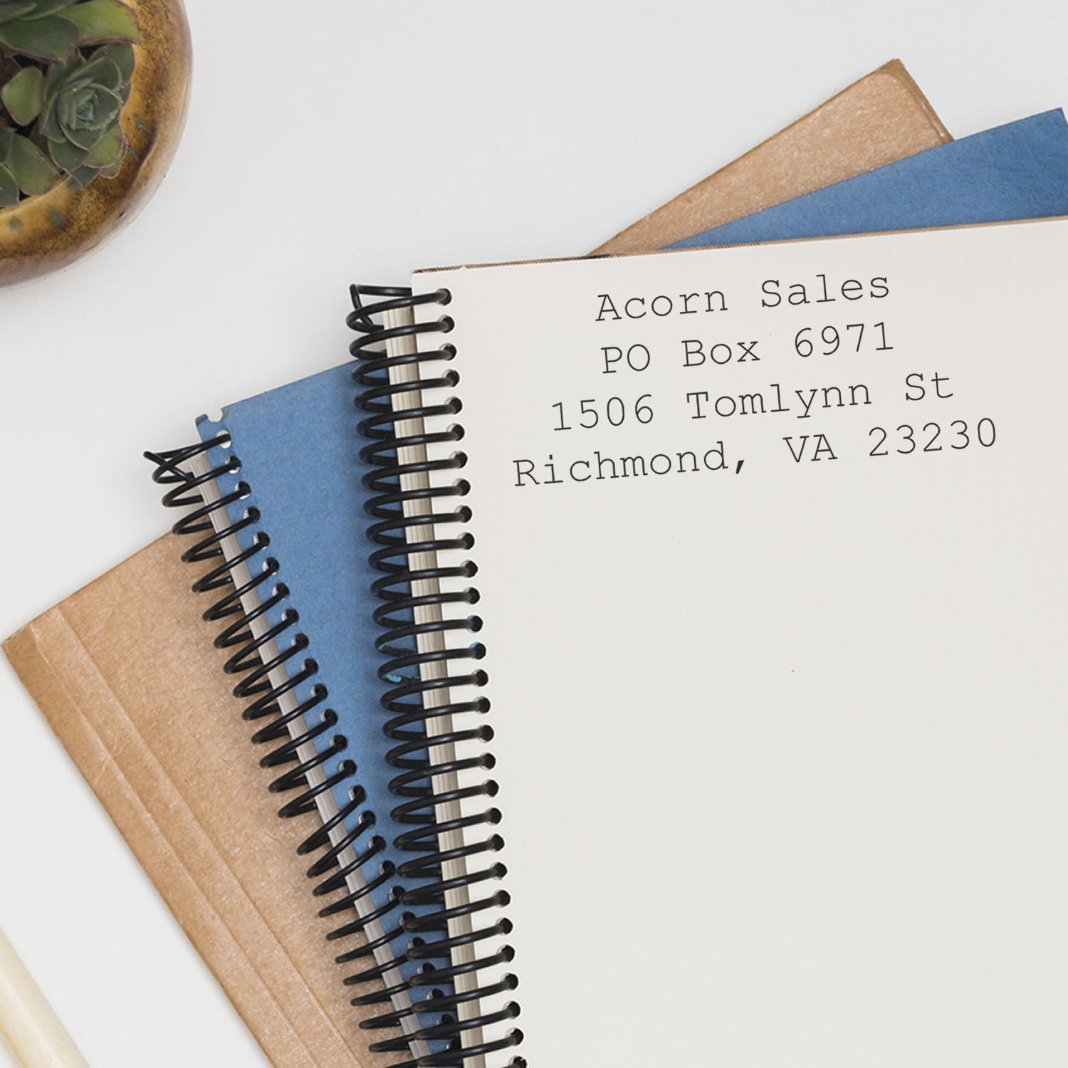 Spiral-bound notebooks with mailing address label, stacked stationery, and succulent on a white background