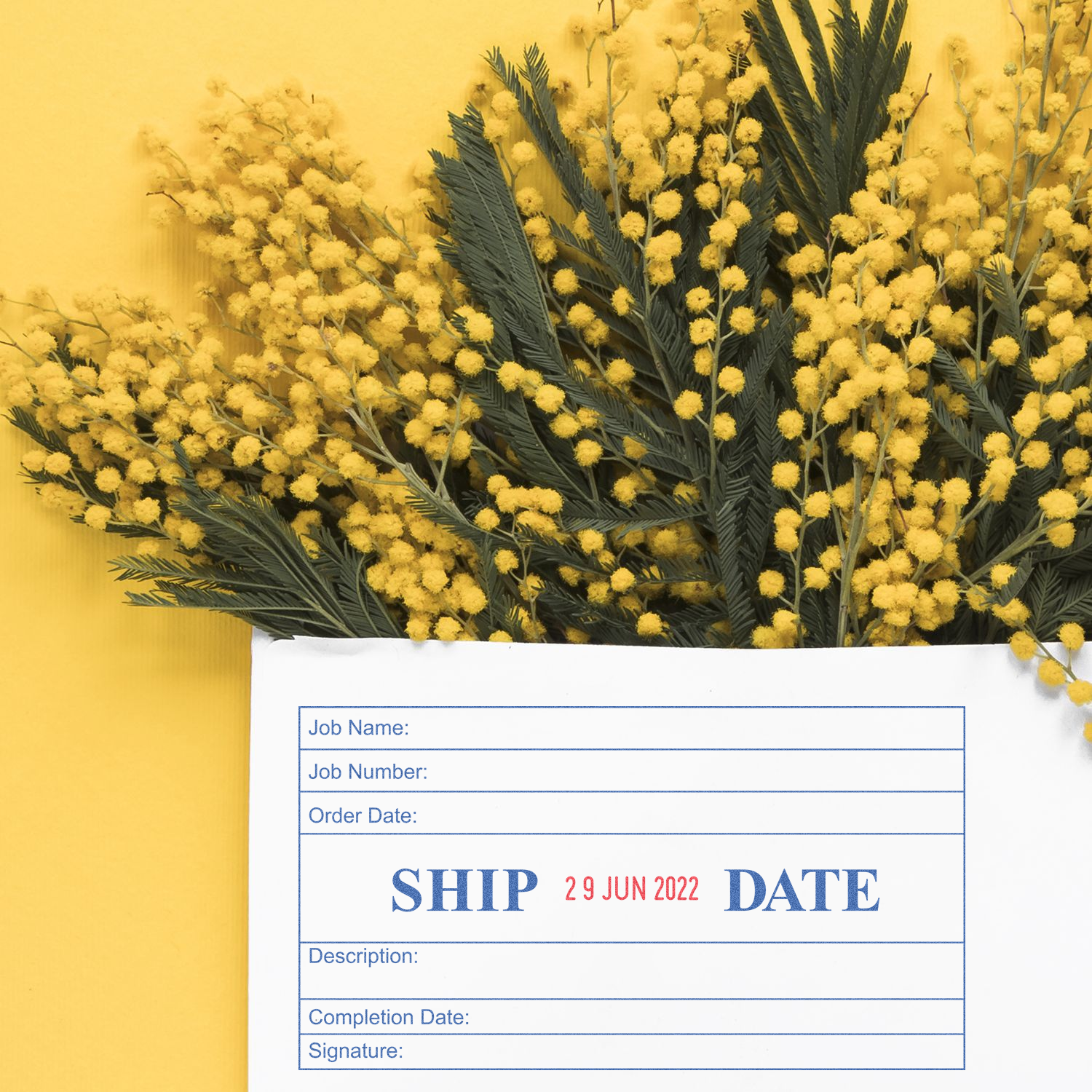 Yellow mimosa flowers in a white ship date form on a bright yellow background with SHIP DATE text.