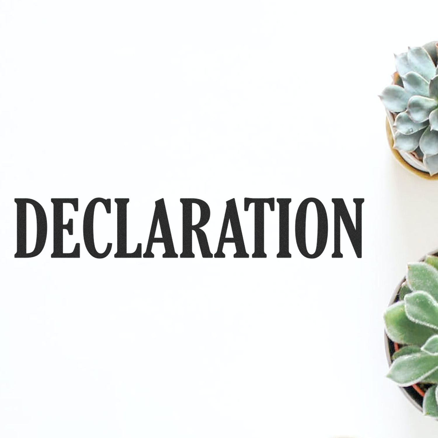Declaration heading on a minimalist white background with a succulent plant corner, for announcement or statement content.