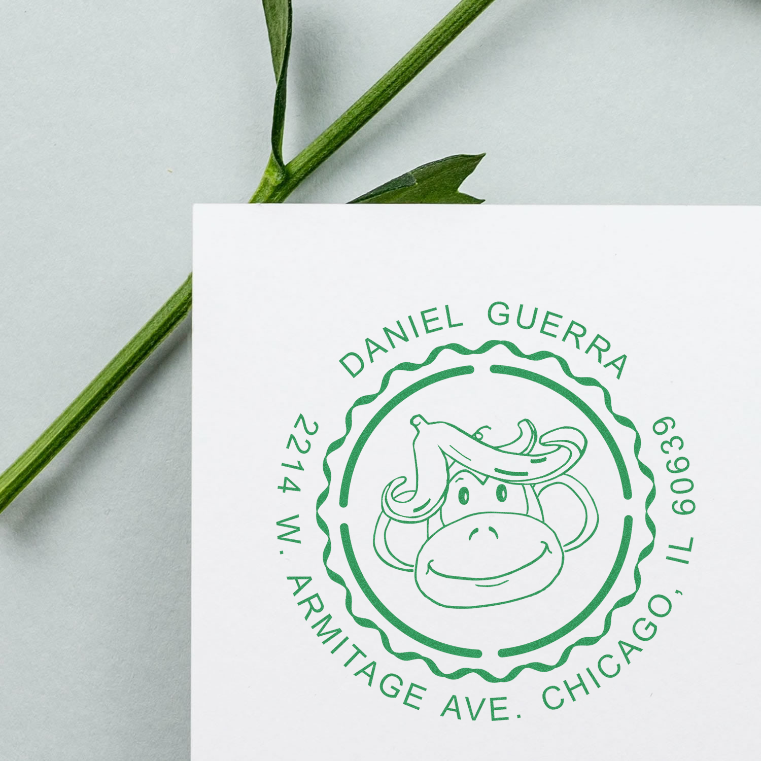 Custom return address rubber stamp with cow logo for Daniel Guerra, Chicago, IL