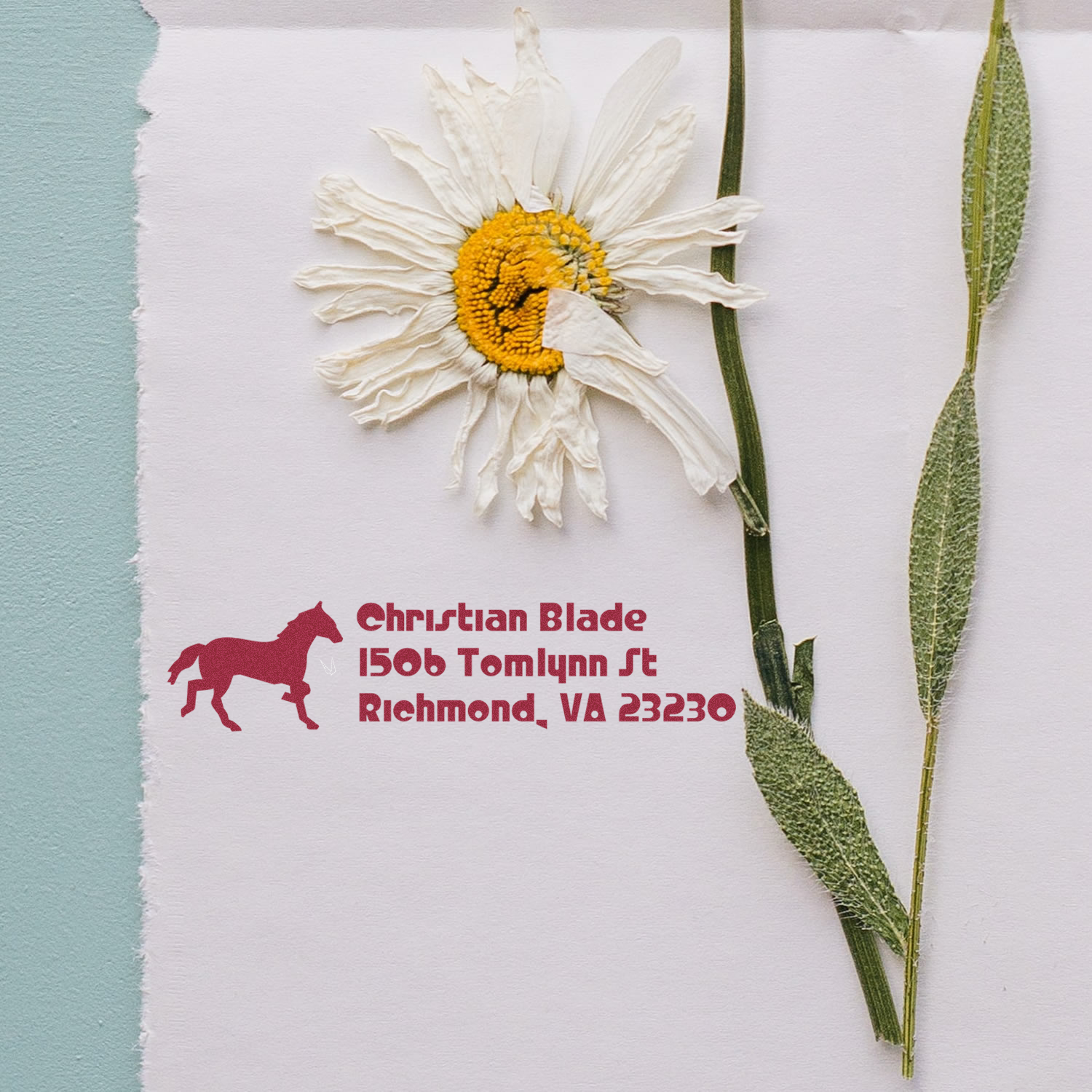 Custom rubber stamp with floral daisy art and horse logo return address imprint for wedding invitations and stationery.