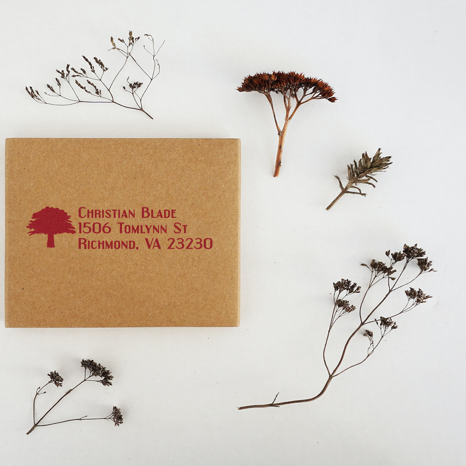 Personalized rubber address stamp with tree logo on kraft box, showing Christian Blades Richmond, VA return address.