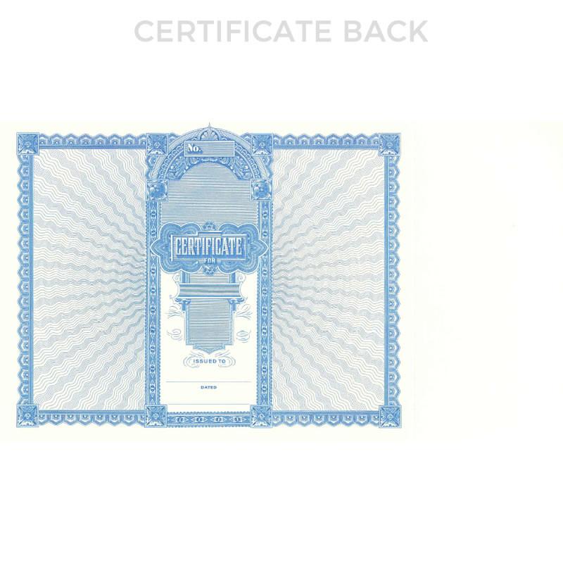 Goes 504 Blank Stock Certificate Back Side