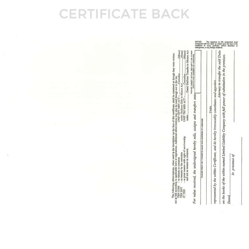 Blue Short Form LLC Certificate Back Side