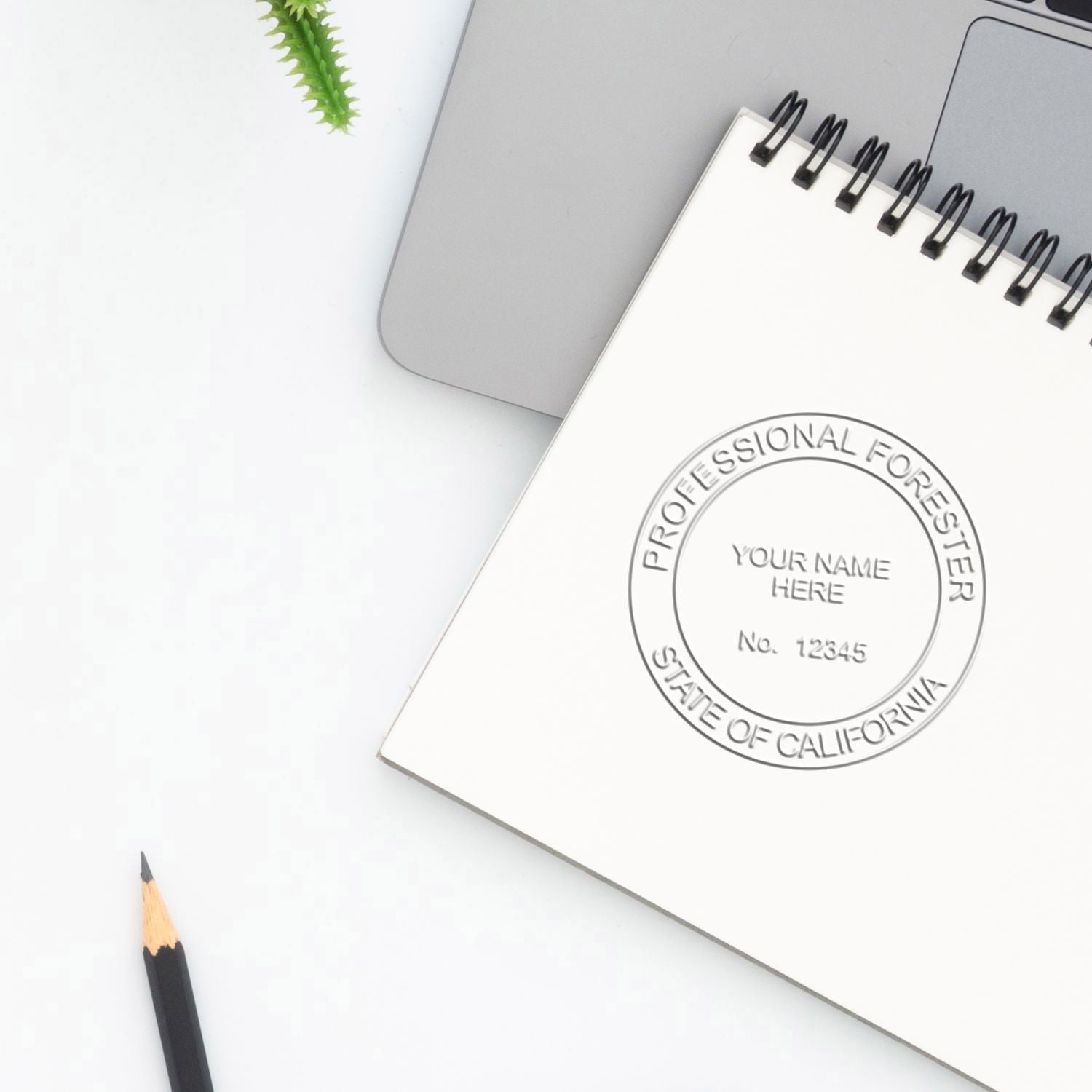 Blank notebook with embossed Professional Forester State of California seal on desk with laptop and pencil, SEO concept image for forestry certification and branding