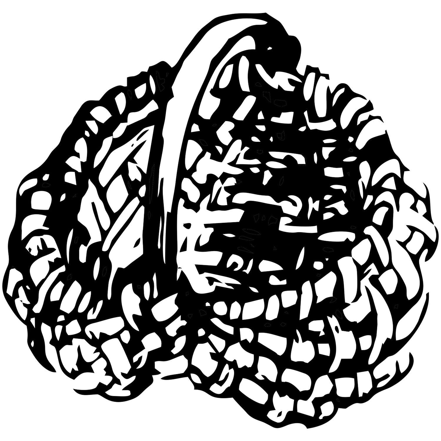 Abstract black and white brain illustration with bold organic pattern