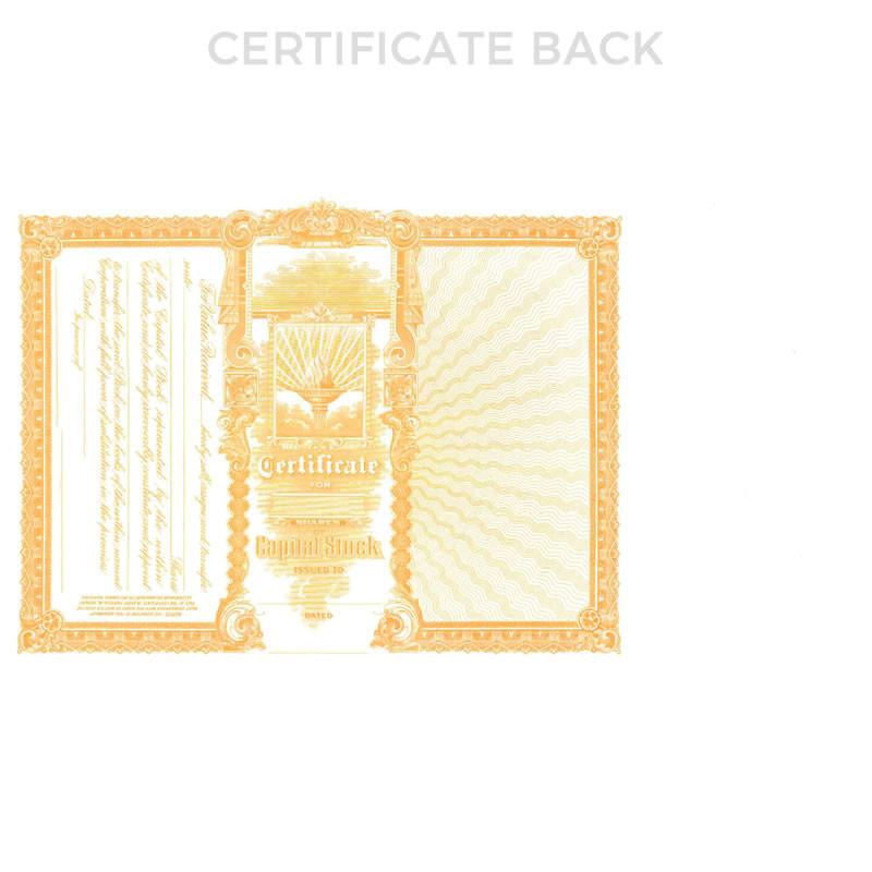 Goes 365 Stock Certificate Back Side