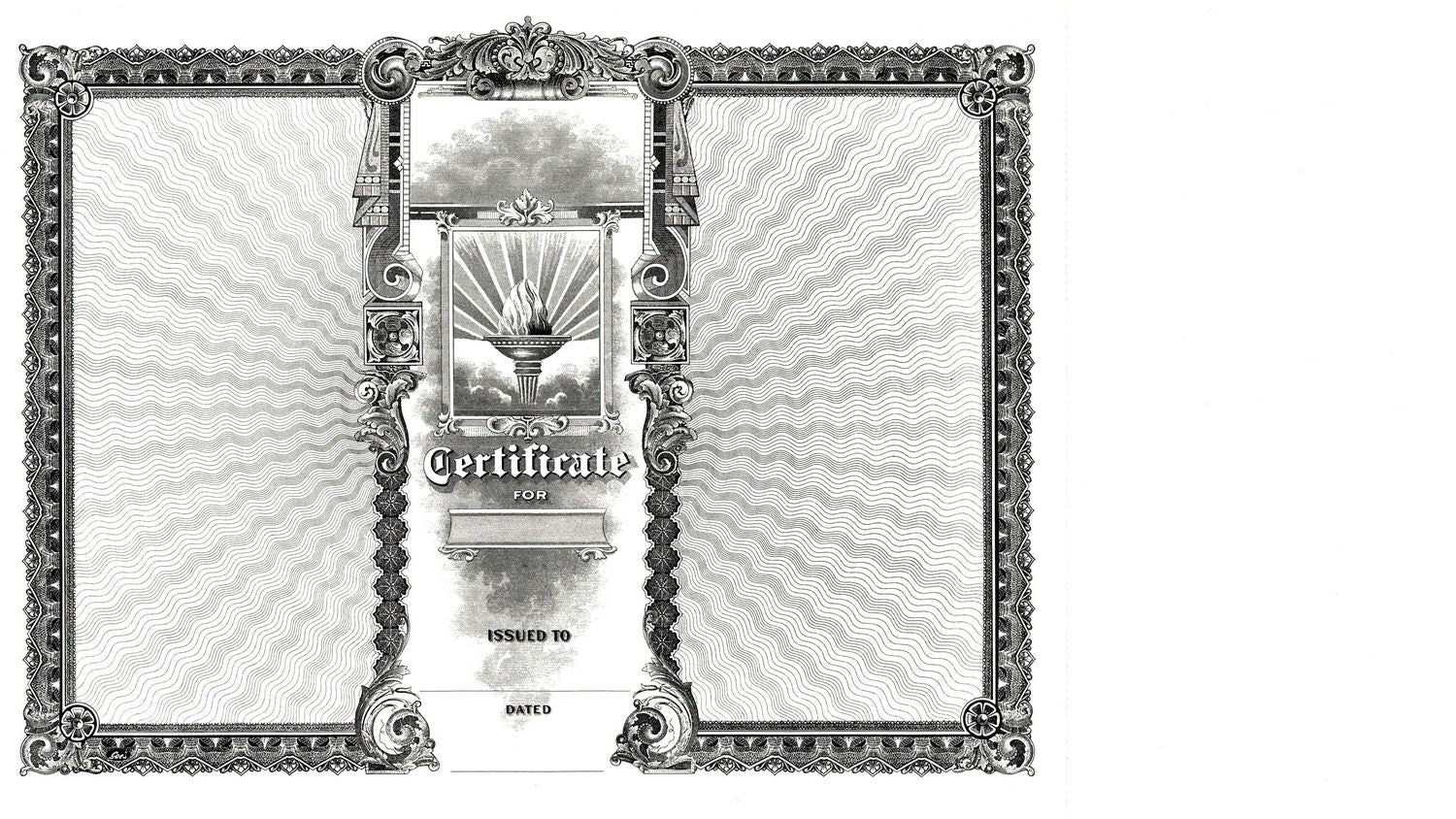 Goes 368 Blank Stock Certificate