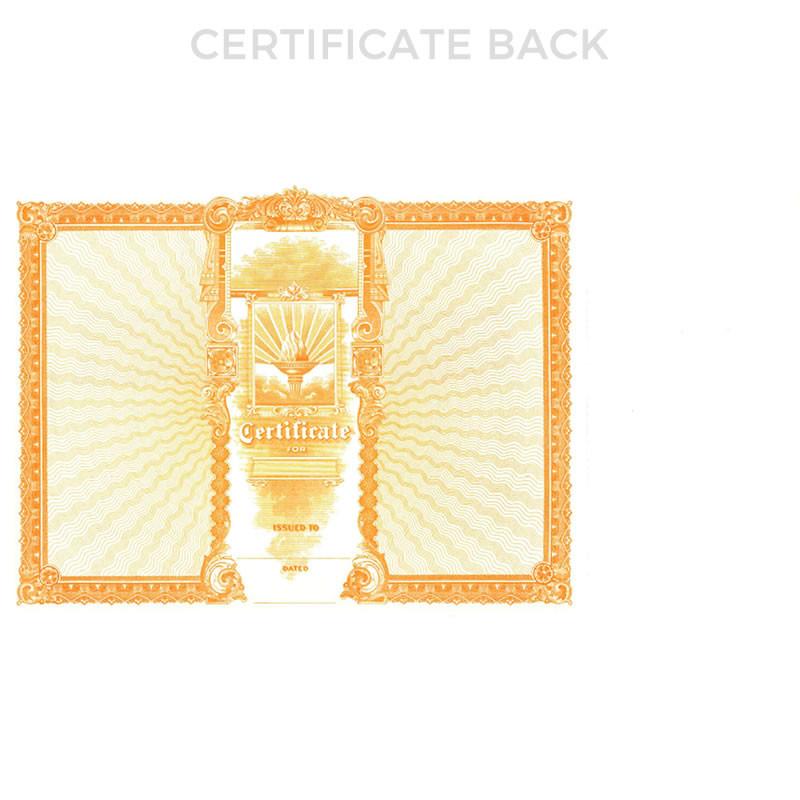 Goes 369 Blank Stock Certificate Back Side