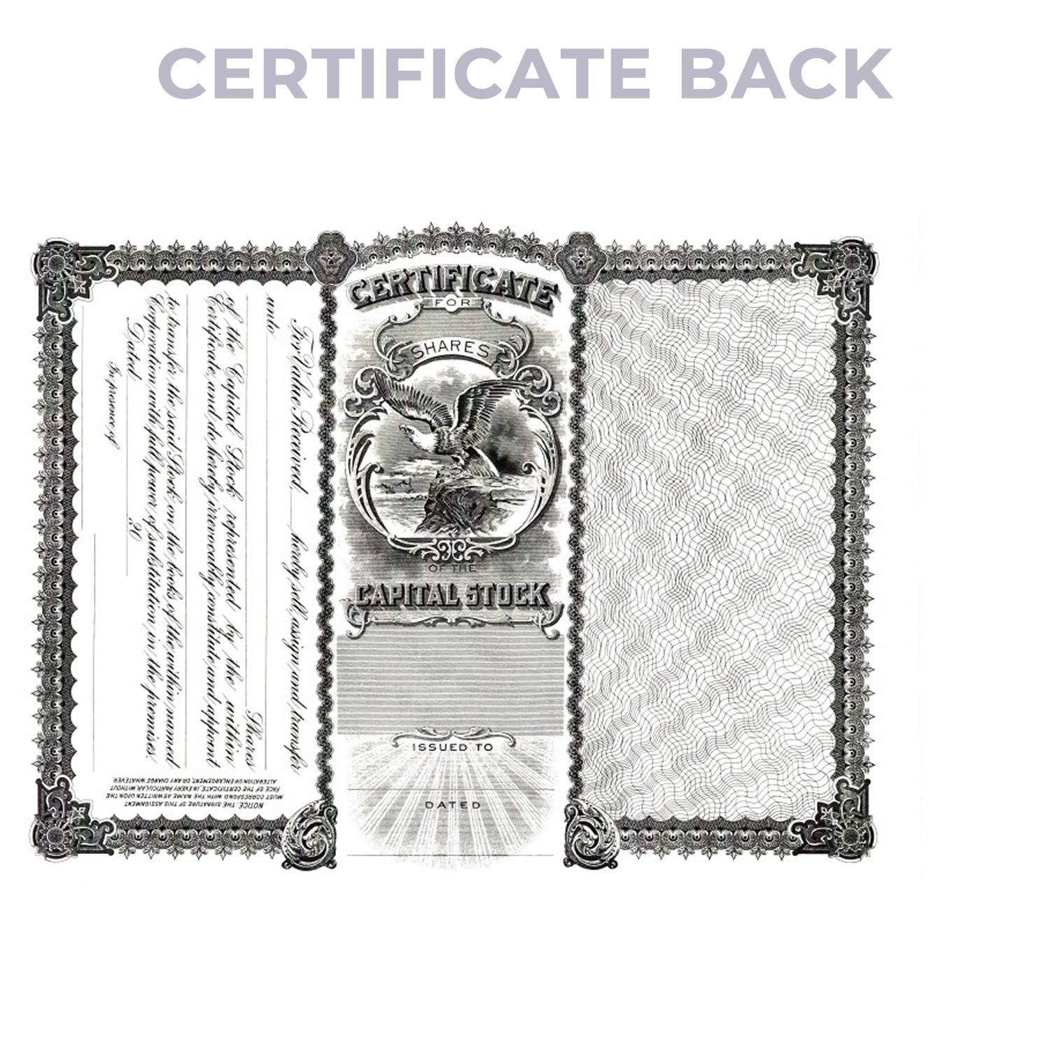 Goes 50 Corporation Stock Certificate