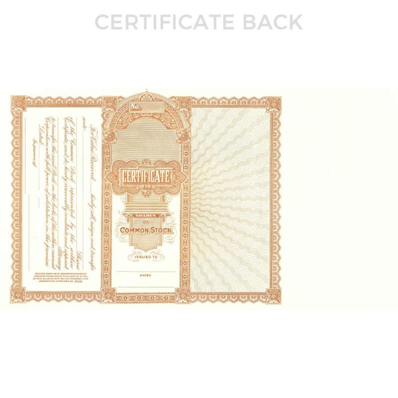 Goes 500 Common Stock Certificate Back Side