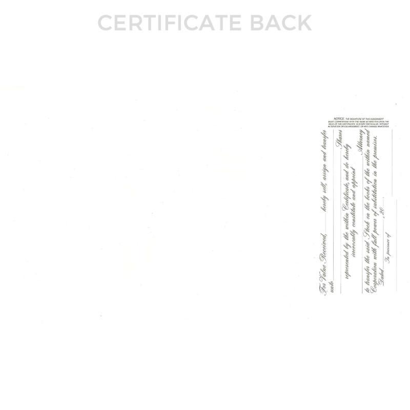Goes 720 Stock Certificate Back Side