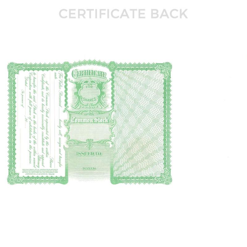 Back view of a common stock share certificate document with security pattern, issued shares details, and certificate fields.