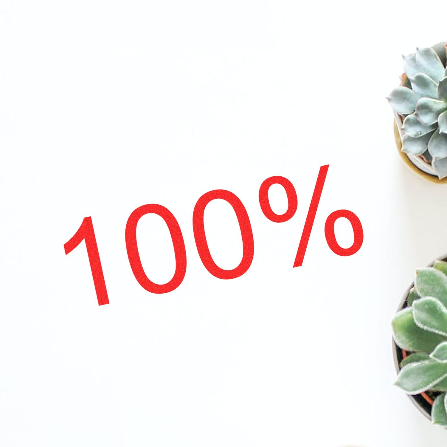 100% red text on a white background with succulent plants on the right edge, modern minimalist design concept.