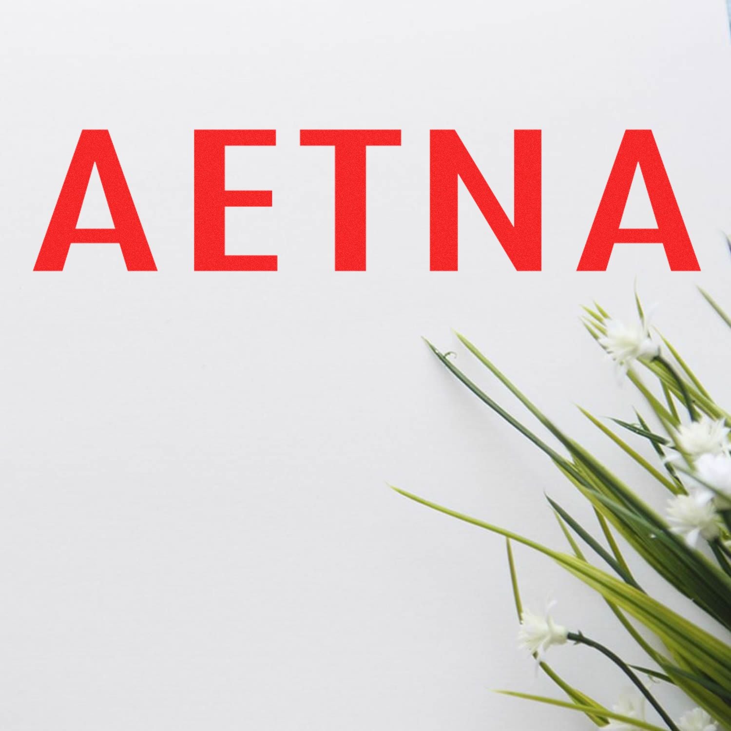 ETNA logo text in bold red on white background with wheat-like green stems and flowers for minimalist spring branding design