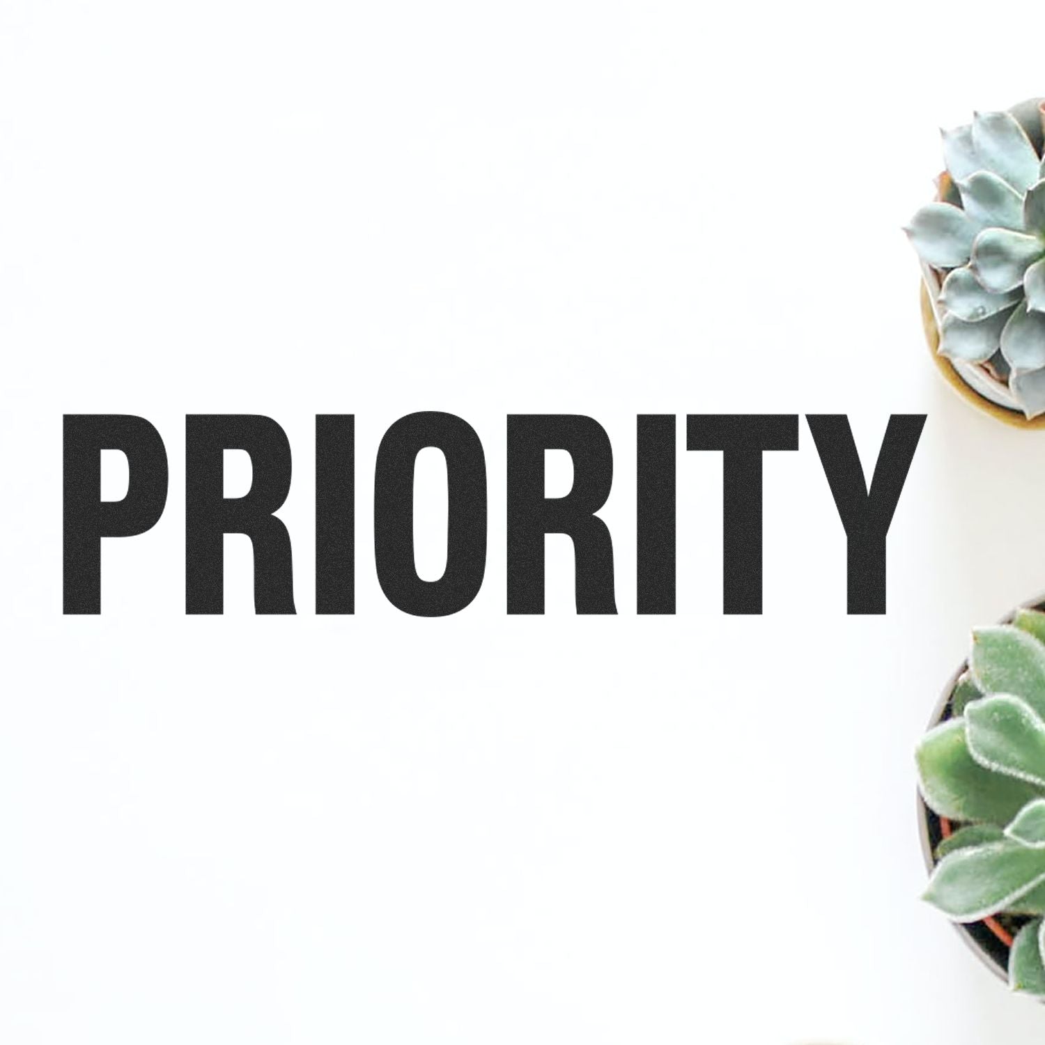 PRIORITY headline with potted succulent on white background, minimalist decor branding for focus and urgency.