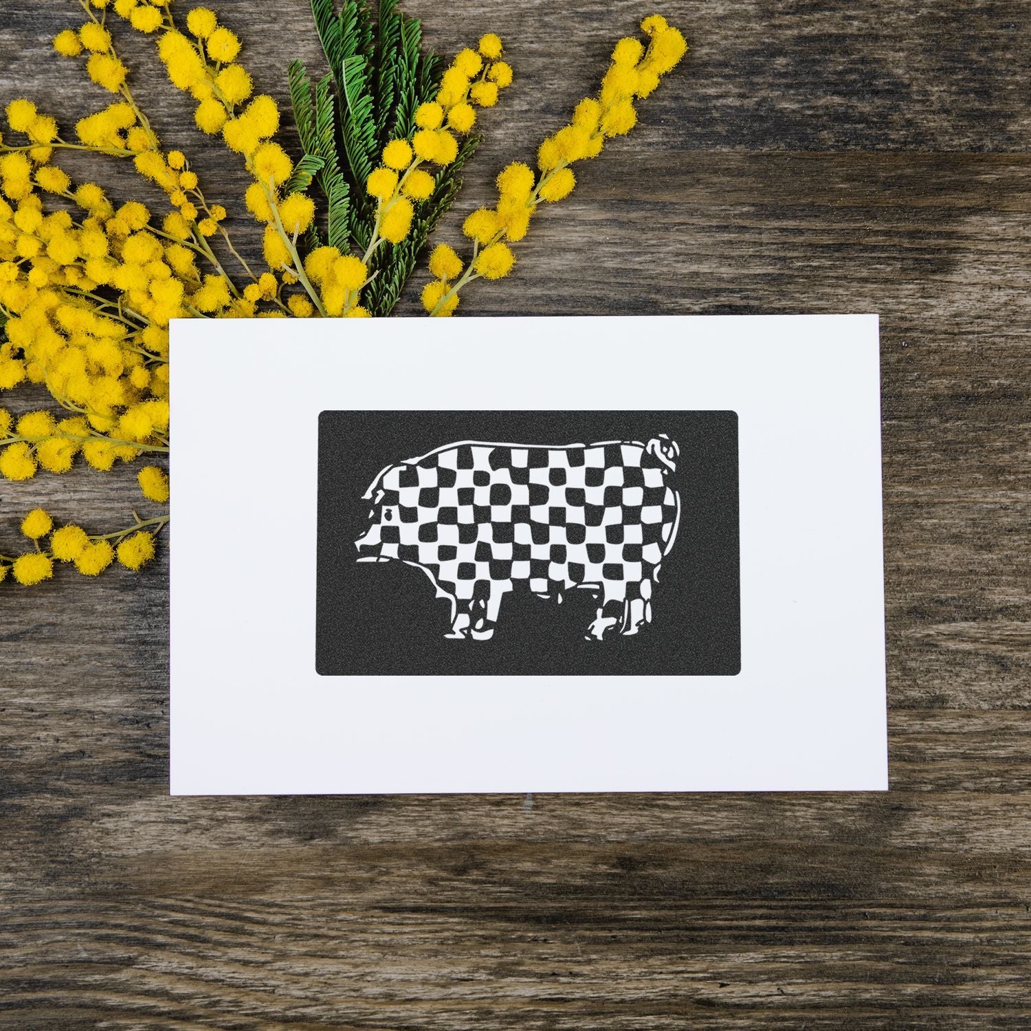 Blank greeting card with checkered cow design surrounded by yellow mimosa flowers on rustic wood background