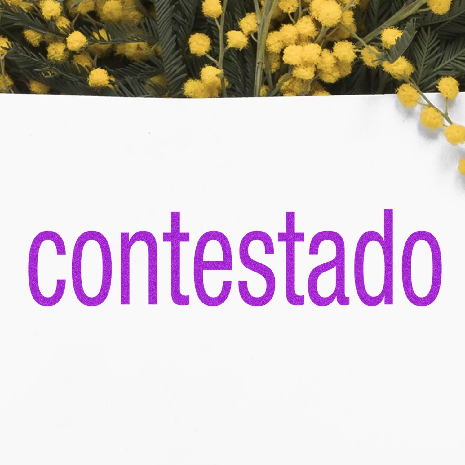 Contestado brand header featuring purple Contestado text on a white background, framed by yellow mimosa pom-pom flowers and tropical leaves.