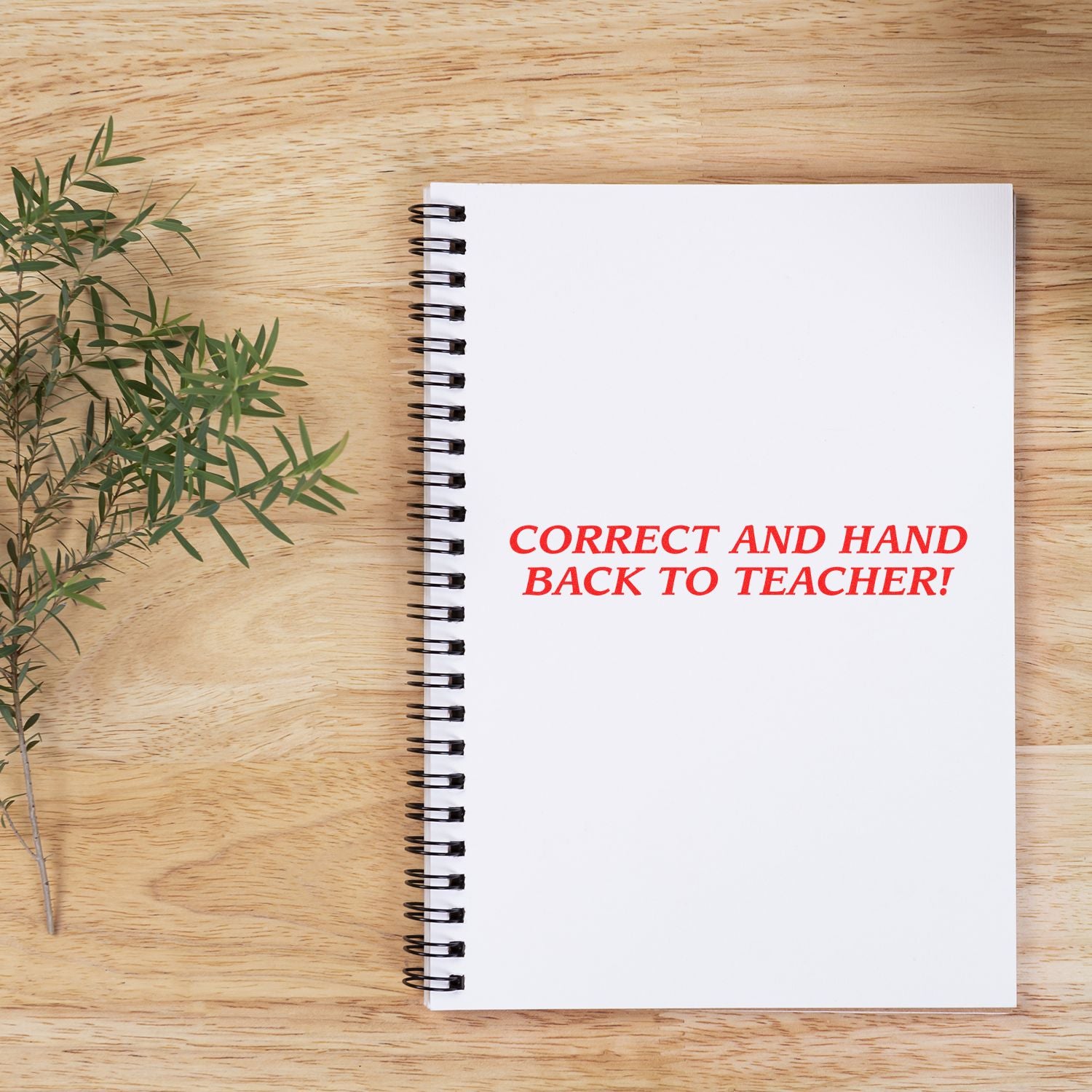 Notebook on wooden desk reading Correct and hand back to teacher for student assignment feedback and teacher review.
