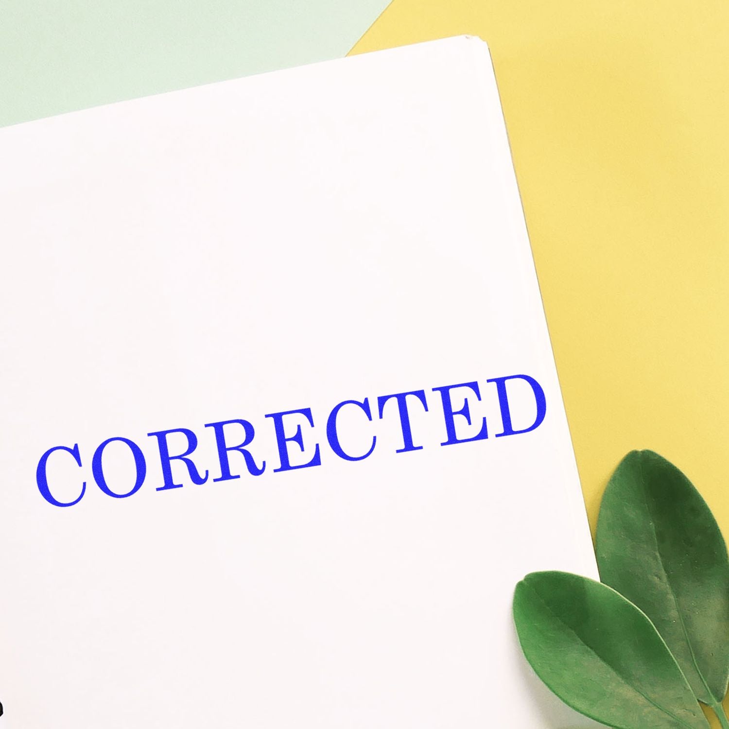 Corrected printed document cover with blue CORRECTED text and green leaf accent on yellow and mint background.