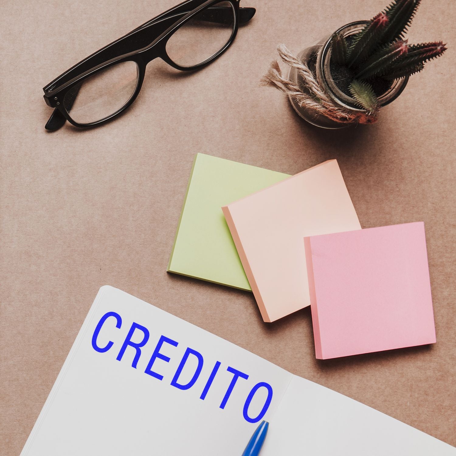 Credit notebook with eyeglasses, pastel sticky notes, and small potted plant on a desk flat lay
