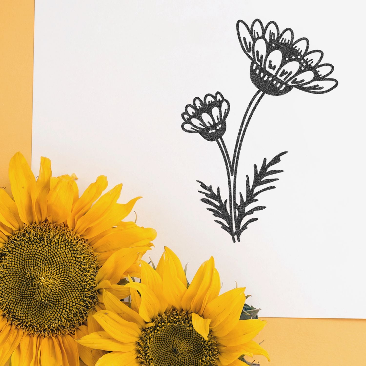 Bright yellow sunflowers with a black floral line drawing on a white background, elegant botanical design and spring decor.