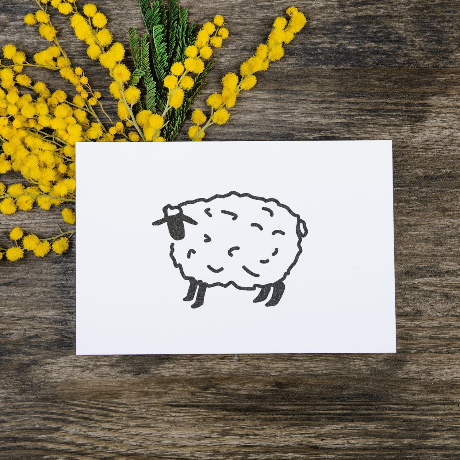 Hand-drawn sheep illustration on white card surrounded by yellow mimosa flowers on a rustic wooden table.