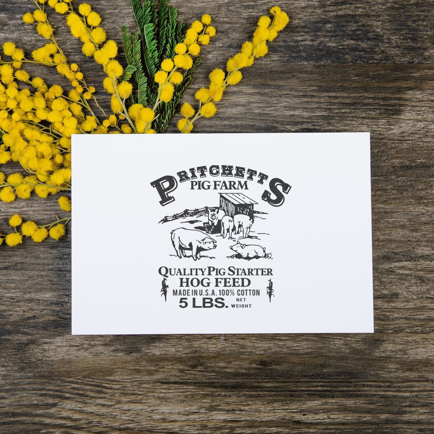 Vintage Pritchetts Pig Farm hog feed label print on rustic wood with yellow mimosa flowers