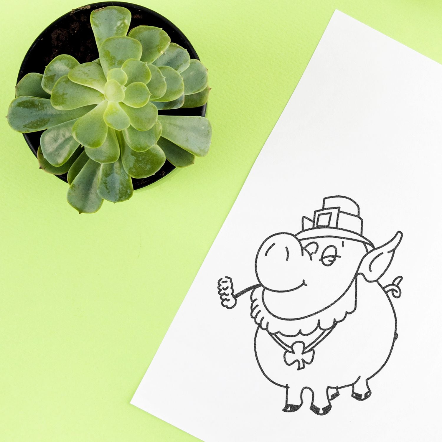 Top view of a potted succulent beside a St. Patricks Day leprechaun illustration on a bright green background.