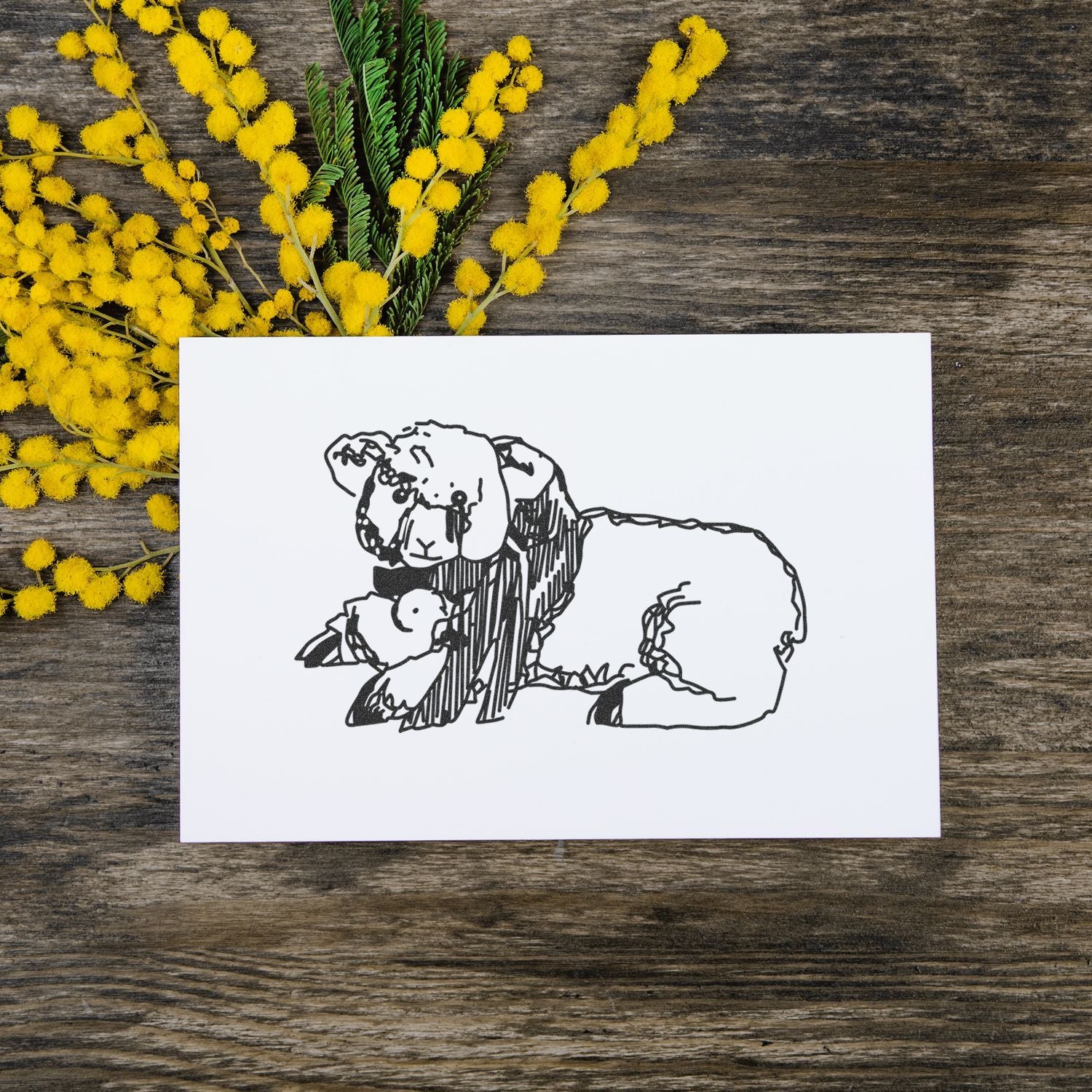 Hand-drawn dog illustration card with yellow mimosa flowers on a rustic wooden table.