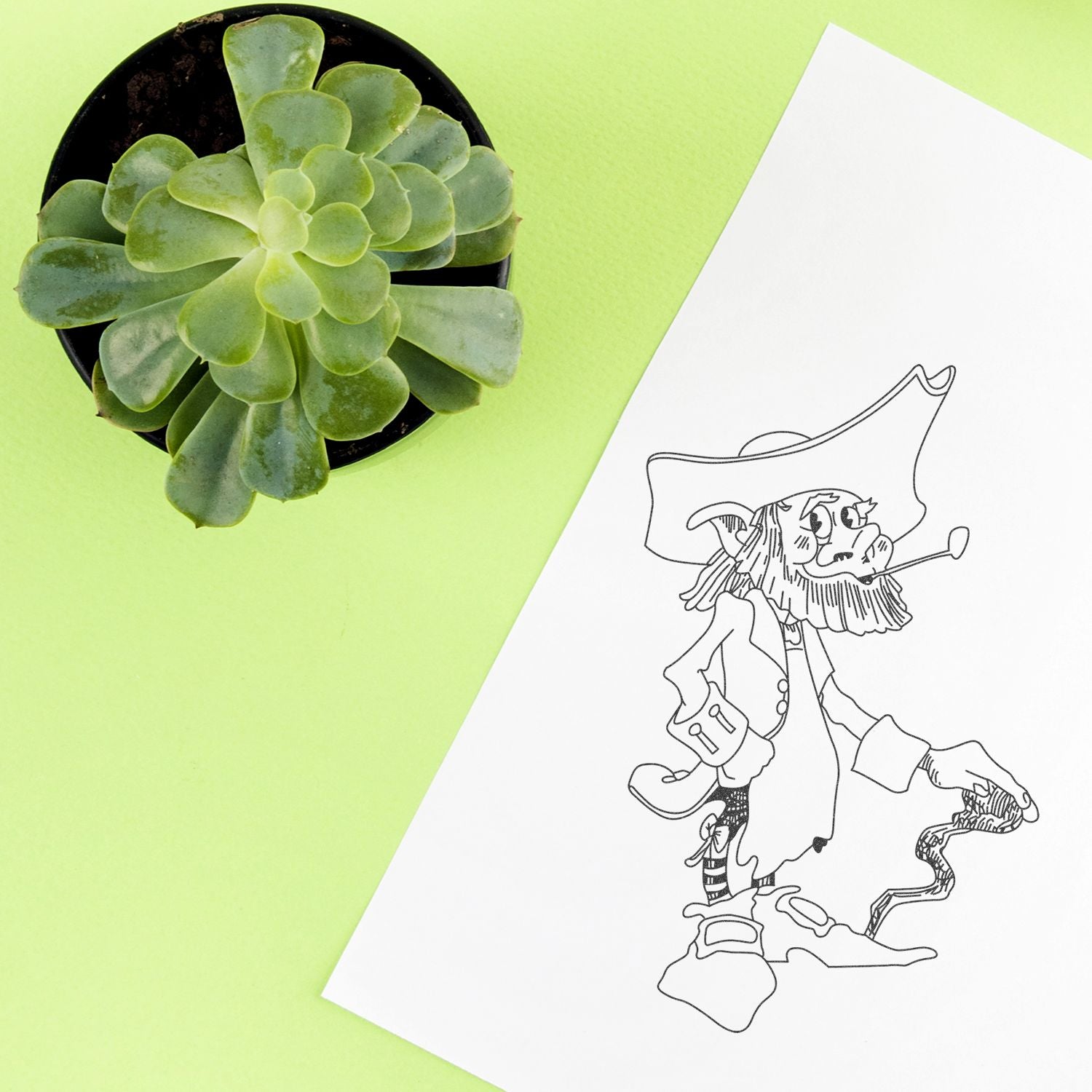 Top view of a green succulent in a black pot beside a pirate cartoon sketch on white paper against a lime green background.