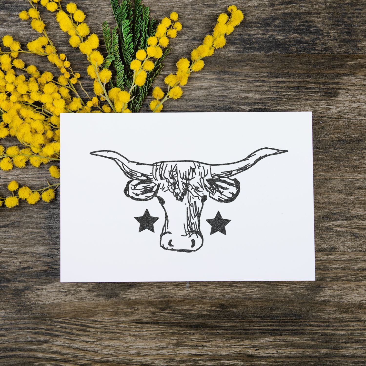 Rustic western card with black longhorn bull skull illustration and stars, surrounded by yellow mimosa flowers on weathered wood table.