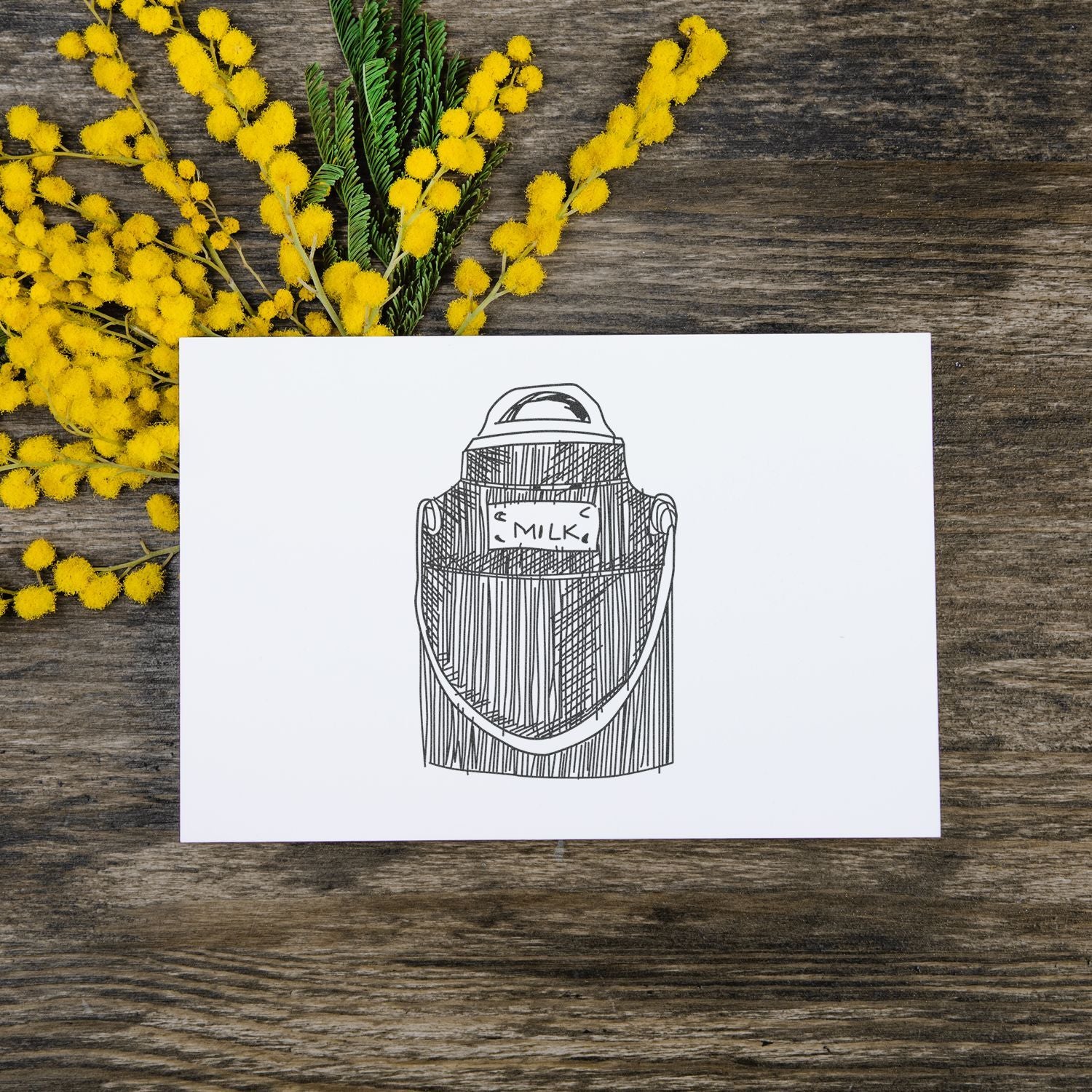 Hand-drawn milk can illustration on white card with yellow mimosa flowers on rustic wooden background
