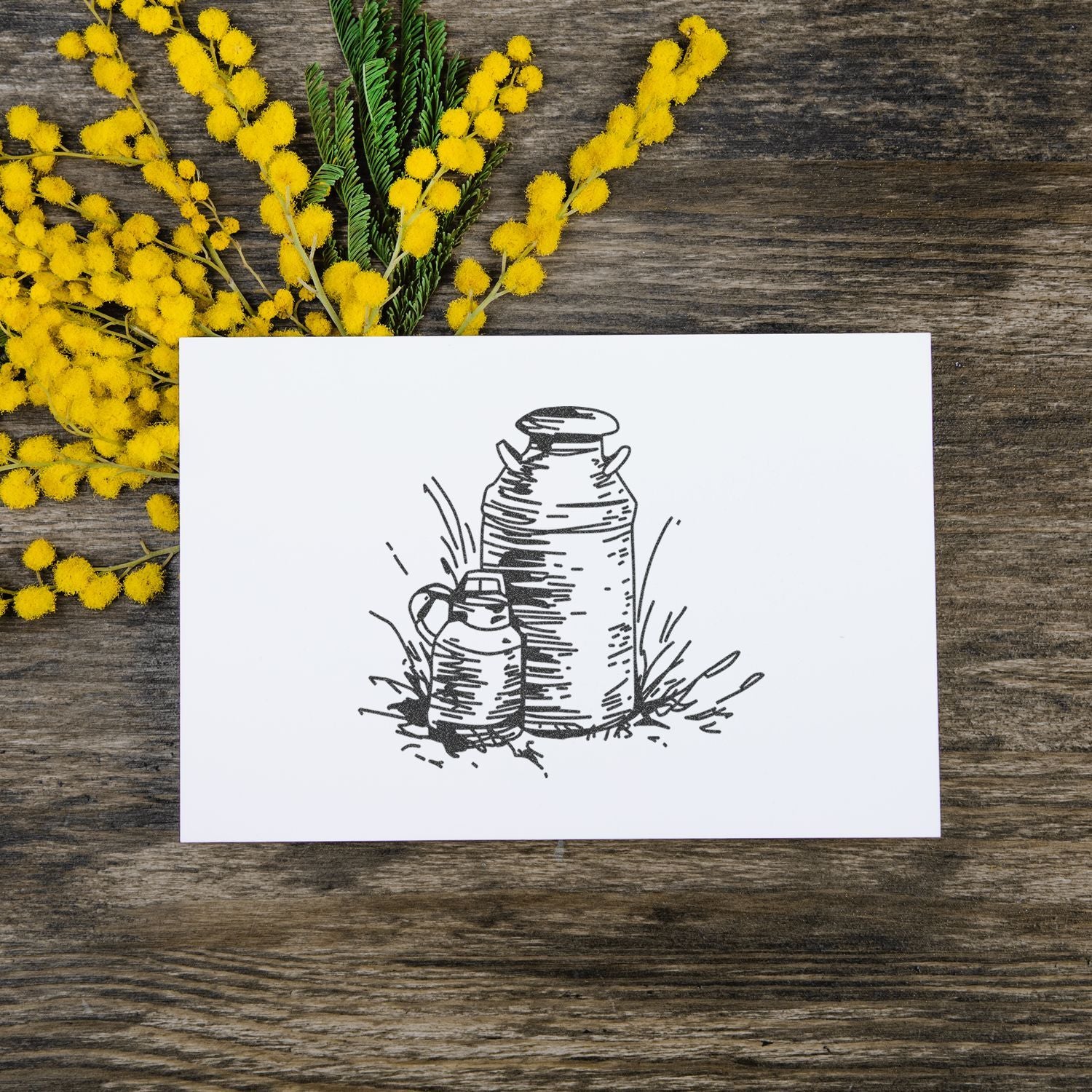 Mimosa flowers beside a rustic illustrated milk can card on a wooden background.