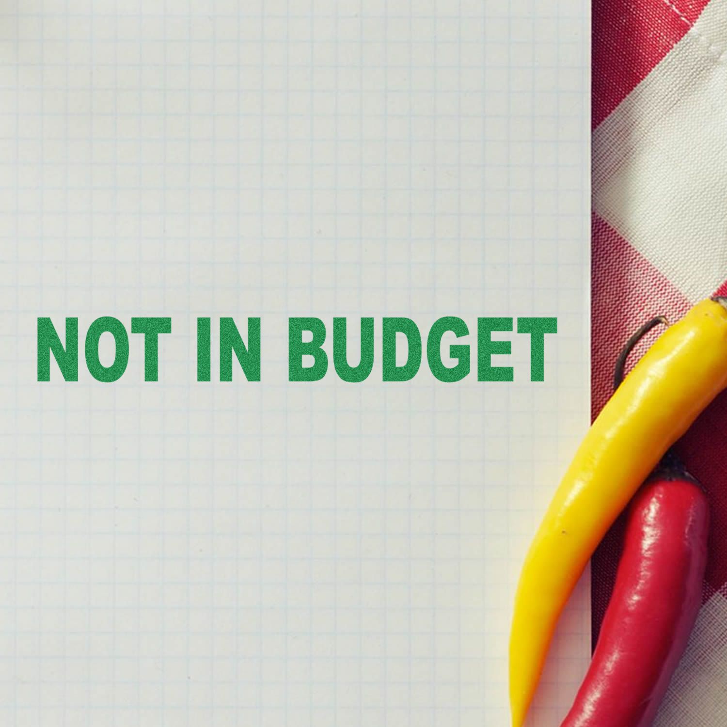 Notebook page with Not in Budget text beside colorful clothespins on a checkered background.