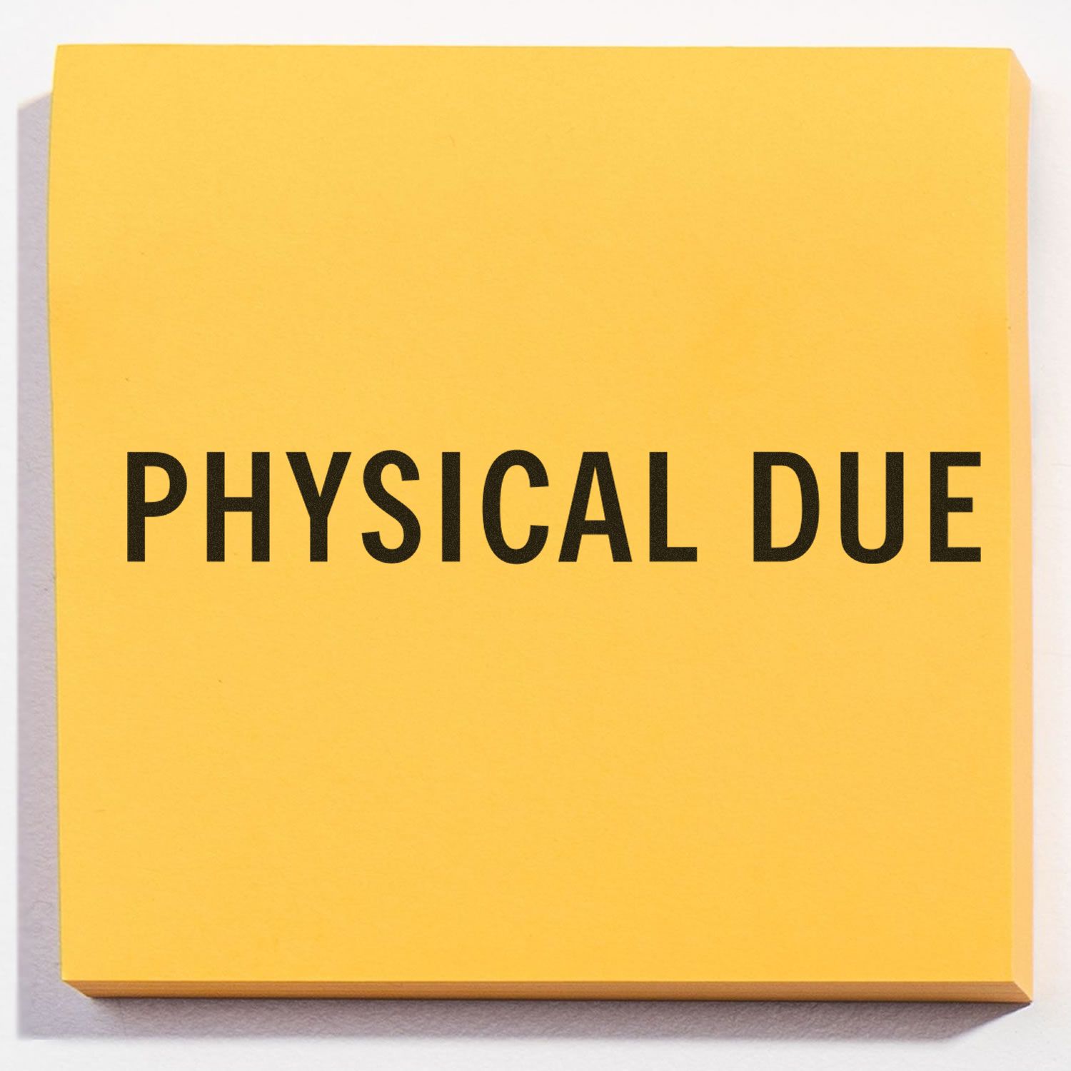 Yellow book cover with bold text PHYSICAL DUE, clearly indicating the document title and topic related to physical due.