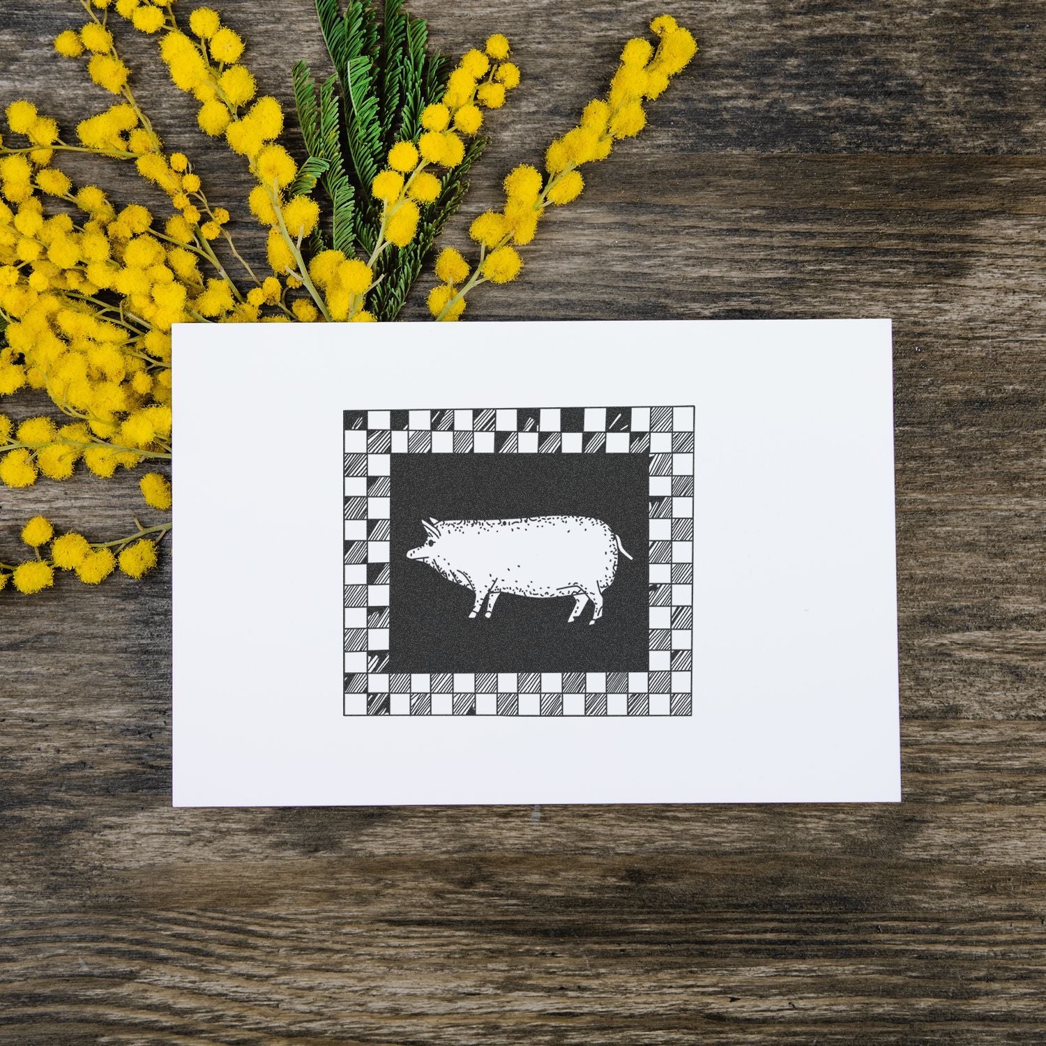 Minimalist pig illustration greeting card with yellow mimosa flowers on rustic wooden table.