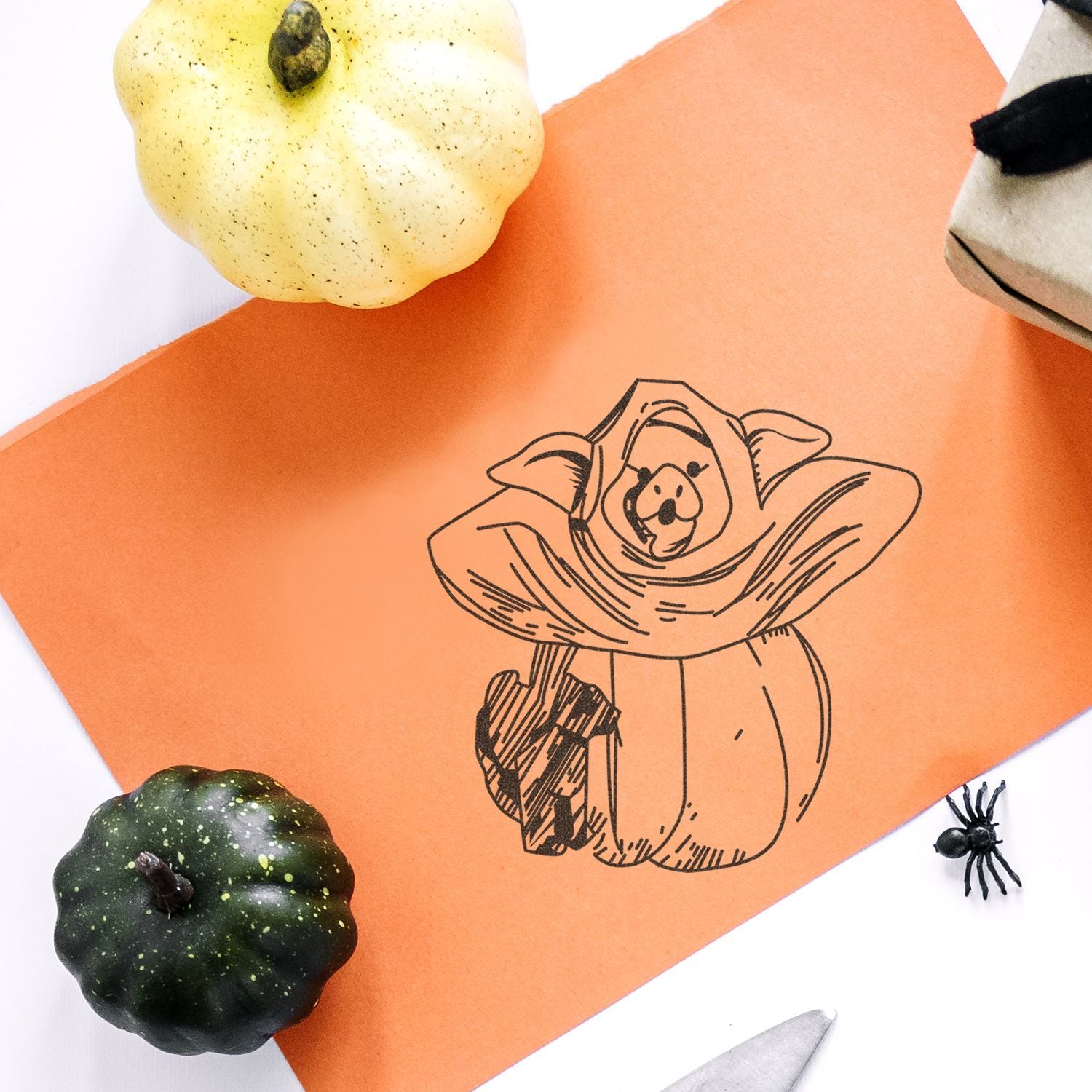 Halloween pumpkin illustration on orange paper with decorative mini pumpkins and spider, festive fall decor flat lay.
