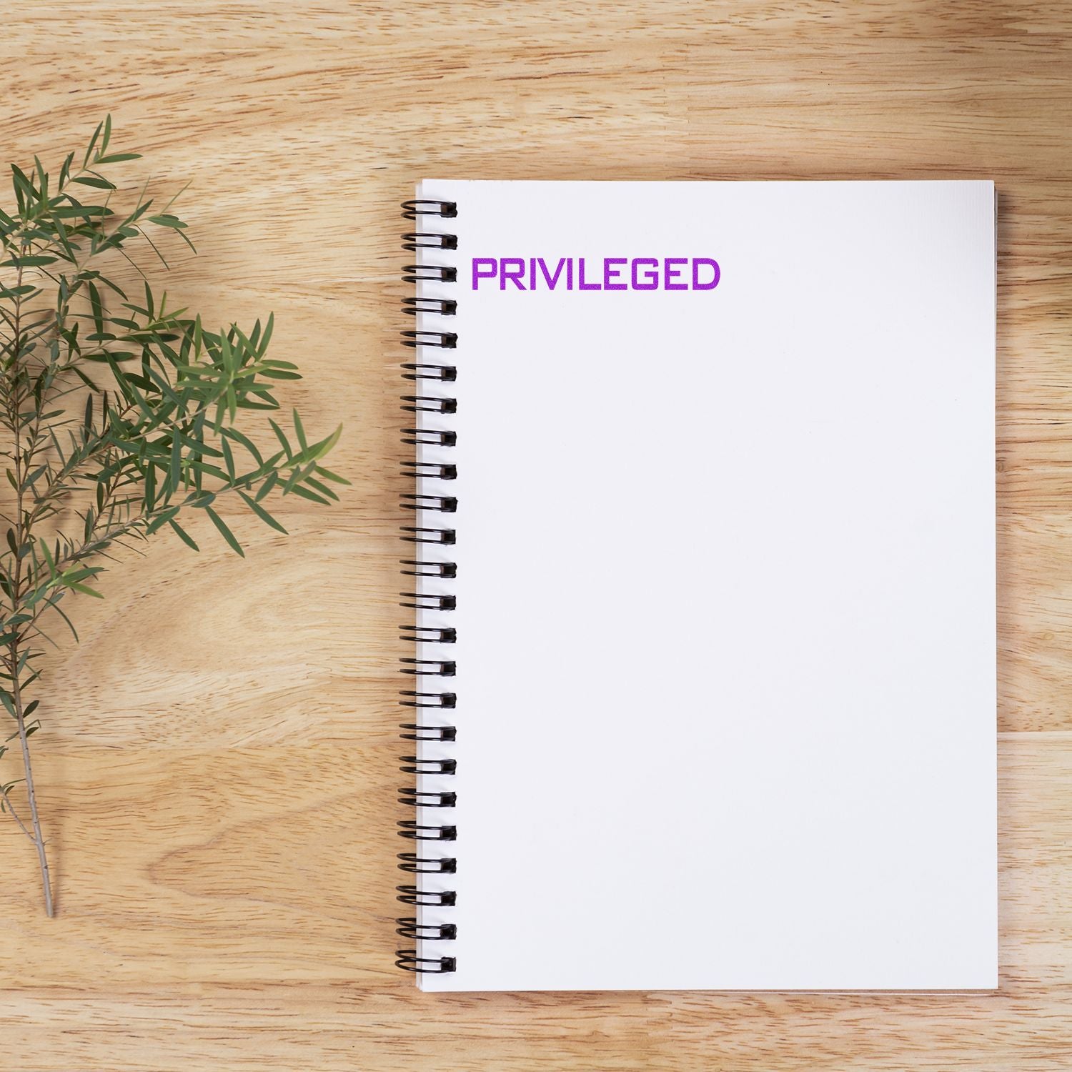Open notebook on wooden desk with plant, featuring PRIVILEGED text for privilege-themed writing or branding cover.