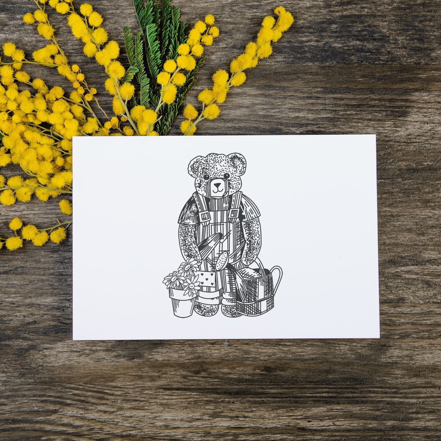 Bear illustration greeting card with flowers and yellow mimosa blossoms on rustic wooden background