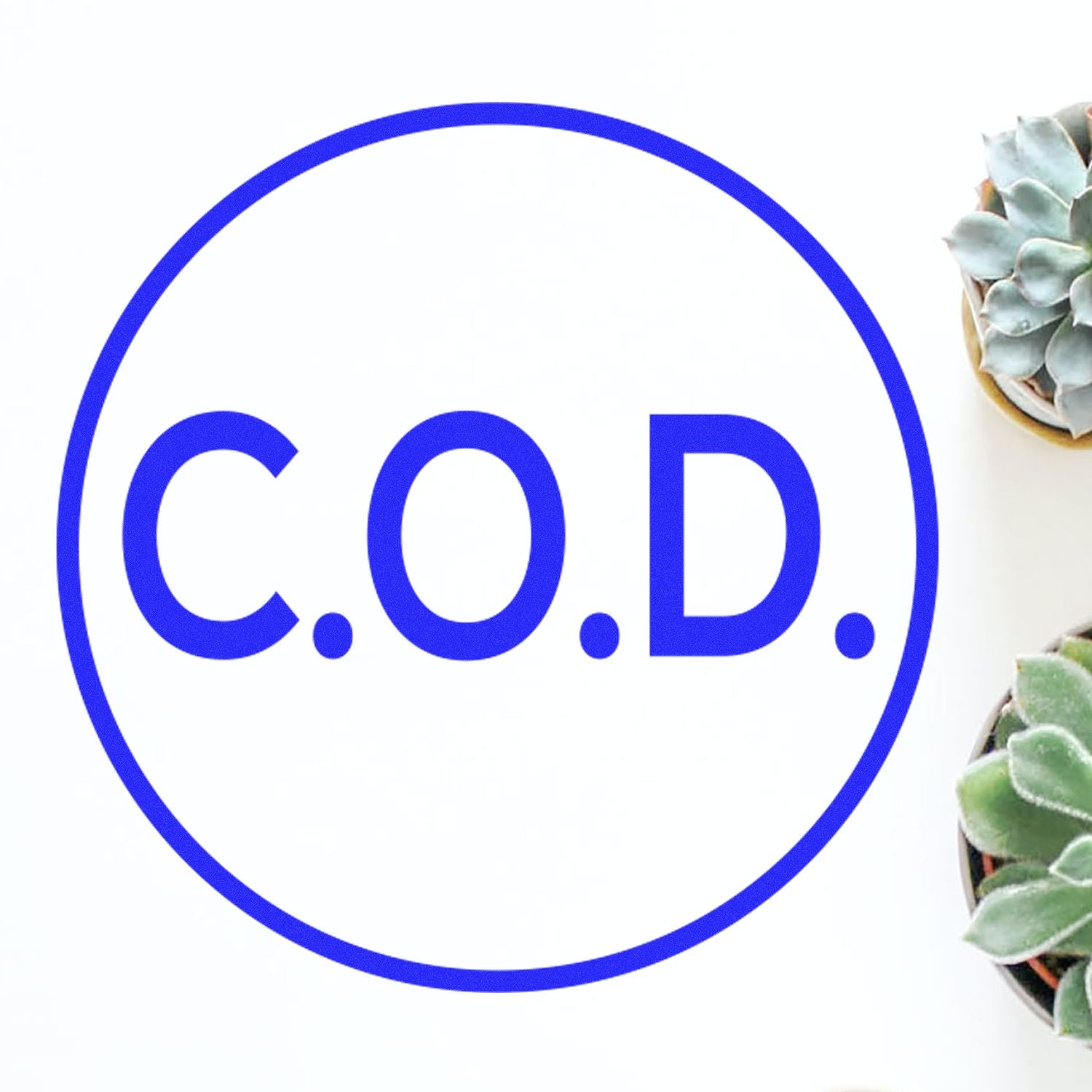 Blue C.O.D. logo in a circular outline on a white background with succulents.