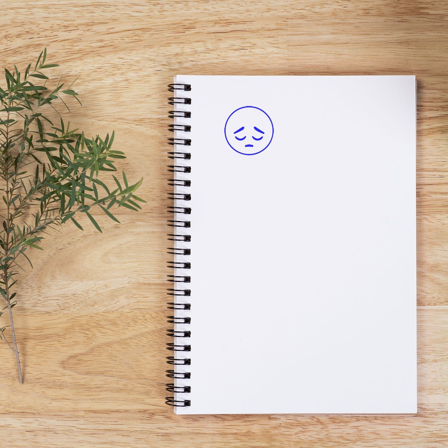Blank spiral notebook with sad face doodle on wooden desk beside green plant leaves