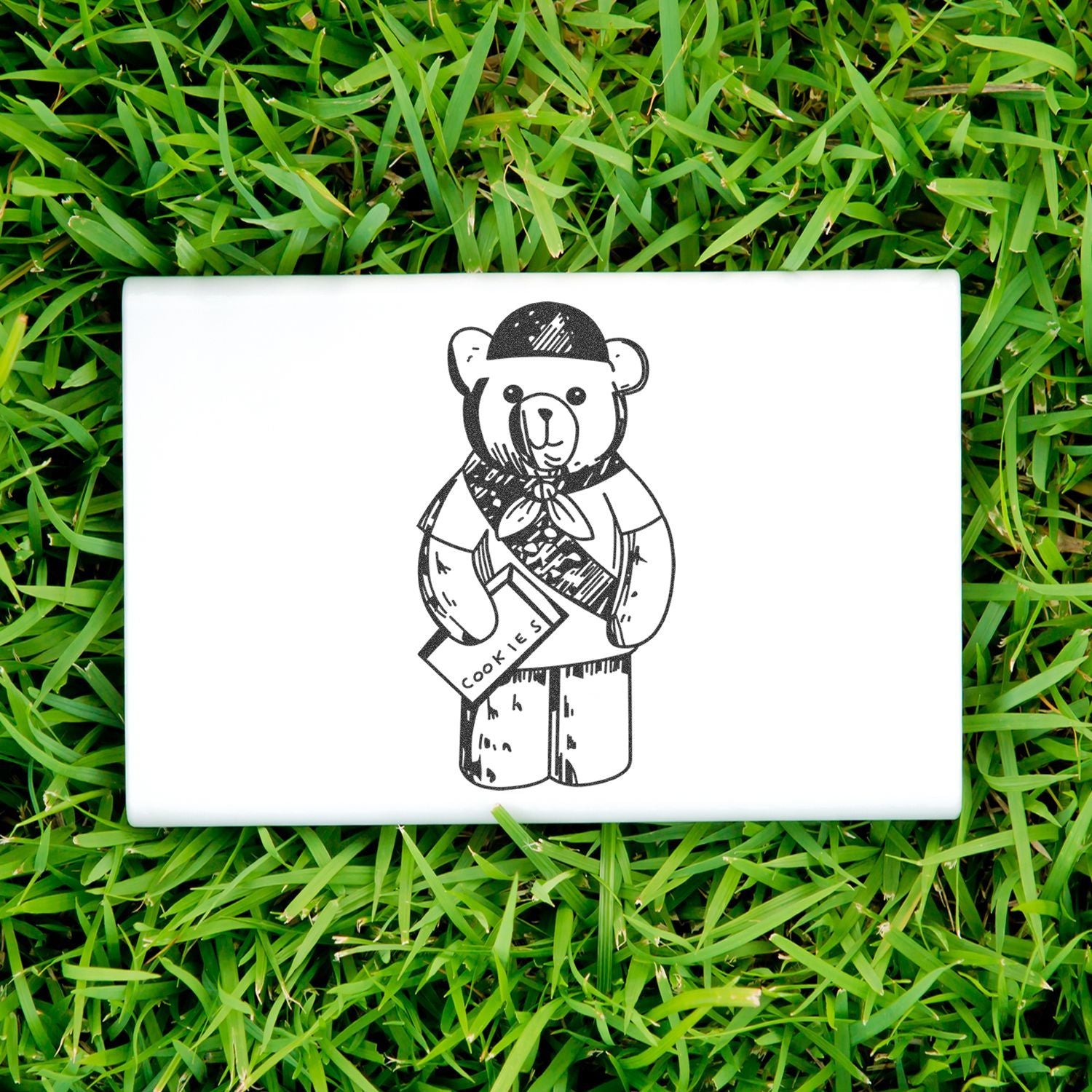 Teddy bear cookie illustration on a white laptop on green grass.